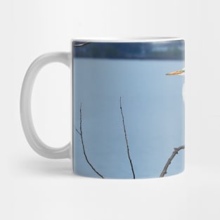 A Great Egret Standing Mug